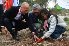 Đại sứ quán Việt Nam tại Israel đã tổ chức trồng cây hữu nghị ở khu rừng Ben Shemen. (Nguồn: TTXVN)