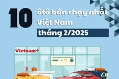 Xe điện VinFast chiếm đa số trong top 10 ôtô bán chạy tháng 2/2025