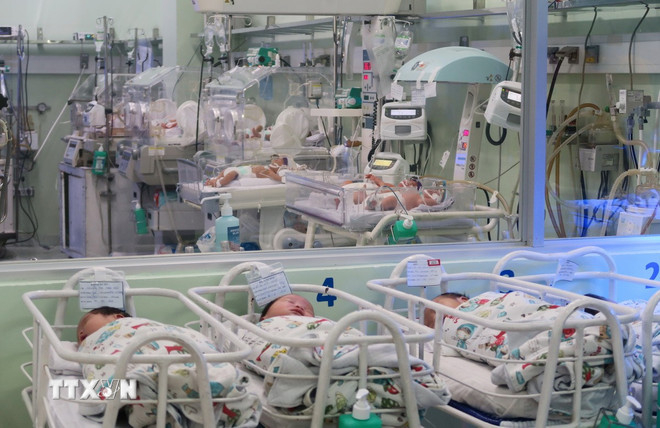 Trẻ sơ sinh được chăm sóc tại Khoa Sơ sinh - Bệnh viện Hùng Vương Thành phố Hồ Chí Minh. (Ảnh: Đinh Hằng/TTXVN) ttxvn-so-sinh-947.jpg
