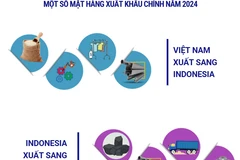 Quan hệ kinh tế, thương mại Việt Nam-Indonesia