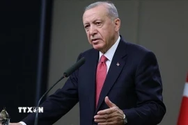 Tổng thống Thổ Nhĩ Kỳ Recep Tayyip Erdogan. (Ảnh: IRNA/TTXVN)