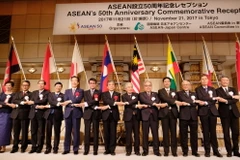 Đại sứ các nước ASEAN và Nhật Bản bắt tay. (Ảnh: Hồng Hà/Vietnam+)