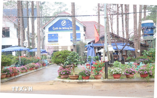 ttxvn-1801-to-cao-ong-tran-van-quynh-3.jpg