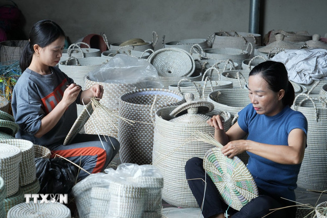 Không chỉ tạo việc làm cho bà con nông dân, cùng với đó là tạo ra giá trị sản phẩm cao hơn để tăng thêm thu nhập cho chị em phụ nữ. (Ảnh: Bích Huệ/TTXVN) ttxvn-0703-coi-xau-4.jpg