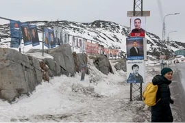 Các đảng lớn nhất trước cuộc bầu cử của Greenland. (Nguồn: Getty Images)