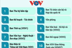 Cơ cấu tổ chức của Đài Tiếng nói Việt Nam