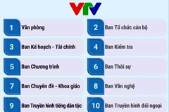 Cơ cấu tổ chức của Đài Truyền hình Việt Nam