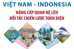 Việt Nam và Indonesia nâng cấp quan hệ lên Đối tác Chiến lược Toàn diện