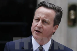 Thủ tướng Anh David Cameron. (Nguồn: AFP/TTXVN)