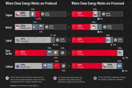 Những kim loại của Trung Quốc. (Nguồn: visualcapitalist.com)