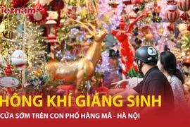 Không khí Giáng sinh 'gõ cửa' sớm trên tuyến phố Hàng Mã 