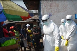 WHO chuẩn bị tổ chức hội nghị quốc tế về dịch Ebola