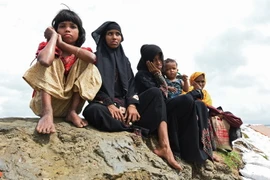 Người Rohingya tại khu vực Shah Porir Dwip ở gần Teknaf, Bangladesh ngày 22/10, sau khi rời bỏ nhà cửa tránh xung đột tại Myanmar. (Nguồn: AFP/TTXVN)