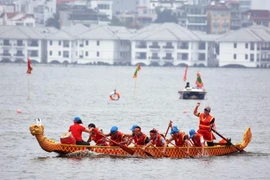 Lễ hội có sự góp mặt của các đội thi quốc tế đến từ Hong Kong (Trung Quốc), Singapore, Malaysia, Lào và các đội thi tỉnh, thành Việt Nam. (Ảnh: Việt Hùng/Vietnam+)