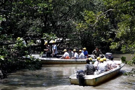 Nhộn nhịp thị trường du lịch Tết, các tour nội địa hút khách