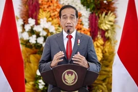 Tổng thống Indonesia Joko Widodo. (Ảnh: AFP/TTXVN)