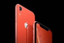 Mẫu iPhone Xr. (Nguồn: BGR)