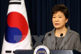 Tổng thống Hàn Quốc Park Geun-hye. (Nguồn: AFP/TTXVN)