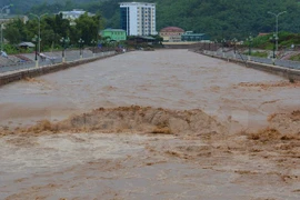 Ảnh minh họa. (Nguồn: Công Luật/TTXVN)