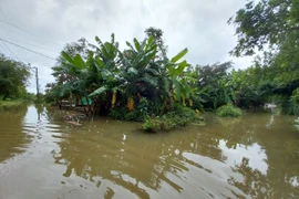 Mưa lớn khiến vùng thấp trũng huyện Quảng Điền, tỉnh Thừa Thiên-Huế bị ngập sâu. (Ảnh: Mai Trang/TTXVN) 