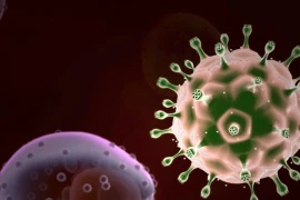 Virus HIV. (Nguồn: theguardian.com)