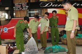 Lực lượng chức năng đang kiểm tra số động vật hoang dã vừa được thu giữ. (Ảnh: Hải Yến/TTXVN)