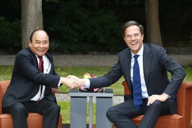 Thủ tướng Nguyễn Xuân Phúc hội đàm với Thủ tướng Vương quốc Hà Lan Mark Rutte. (Ảnh: Thống Nhất/TTXVN)