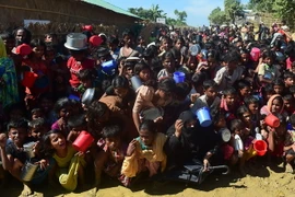 Người tị nạn Rohingya chờ nhận thực phẩm cứu trợ tại Ukhia, Bangladesh ngày 14/11. (Nguồn: AFP/TTXVN)