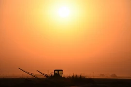 Quang cảnh một cánh đồng trong nắng gắt ở gần Bakersfield, bang California, Mỹ. (Nguồn: AFP/ TTXVN)