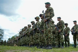 Binh sỹ Colombia tham gia cuộc diễn tập tại khu vực Tumaco, Narino ngày 14/4. (Nguồn: AFP/TTXVN) 