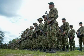 Binh sỹ Colombia. (Nguồn: AFP/TTXVN) 