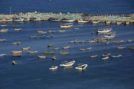 Tàu đánh bắt cá của Palestine tại cảng Gaza trên Địa Trung Hải ngày 10/5. (Nguồn: AFP/TTXVN)