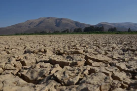 Hồ La Angostura, cách Cochabamba, miền trung Bolivia khoảng 14km bị cạn khô nước do nắng nóng kéo dài. (Nguồn: AFP/TTXVN)