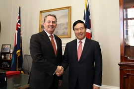 Phó Thủ tướng Phạm Bình Minh và Bộ trưởng Thương mại Quốc tế Anh Liam Fox. (Ảnh: VGP)