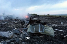 "Thủ phạm bắn máy bay MH17 phải ra tòa án quốc tế ở La Haye"