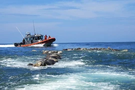 Rùa biển bị mắc kẹt vào lưới đánh cá ở bang Oaxaca. (Nguồn: Reuters)