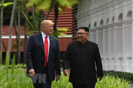 Tổng thống Mỹ Donald Trump (trái) và Nhà lãnh đạo Triều Tiên Kim Jong-un tại cuộc gặp lịch sử ở Sentosa, Singapore ngày 12/6. (Nguồn: AFP/TTXVN)