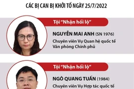 Vụ án tại Cục Lãnh sự Bộ Ngoại giao: Khởi tố, tạm giam thêm 6 bị can