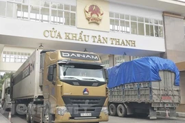 Xuất nhập khẩu hàng hóa tại cửa khẩu Tân Thanh, Lạng Sơn. (Ảnh: Vietnam+)