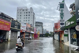 (Ảnh minh họa: Mai Trang/TTXVN)