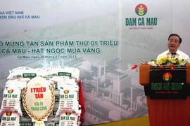 Phó Thủ tướng Hoàng Trung Hải phát biểu tại buổi lễ. (Ảnh: Kim Há/TTXVN)