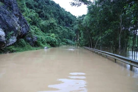 Nghệ An: Lũ ống bất ngờ trong đêm, nhiều hộ dân trở tay không kịp