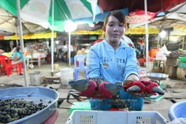 [Photo] Ghé thăm bãi biển hoang sơ và dài nhất tỉnh Trà Vinh