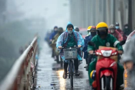 Ảnh minh họa. (Nguồn: Vietnam+)