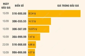 Những biển số ôtô được trả giá cao nhất thông qua đấu giá trực tuyến.