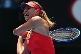 Australian Open: Sharapova "hú hồn", Murray thắng nhàn nhã