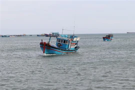 Ngư dân huyện Thuận Nam, Ninh Thuận khẩn trương đưa tàu cá vào bờ tránh ảnh hưởng của bão Rai. (Ảnh: Nguyễn Thành/TTXVN) 