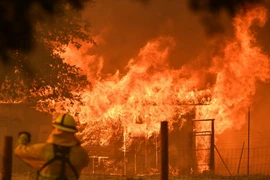 Lính chữa cháy nỗ lực dập lửa cháy rừng tại Lakeport, California. (Nguồn: AFP/TTXVN)