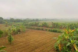 Quy hoạch phân khu đô thị sông Hồng trải dài khoảng 40km. (Ảnh: Hùng Nguyễn/Vietnam+)