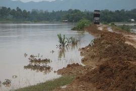 Phú Thọ: Sạt lở bờ sông Thao diễn ra ngày một nghiêm trọng